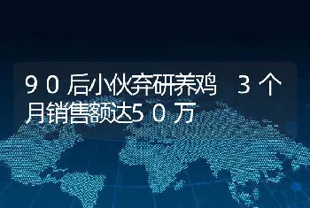 90后小伙弃研养鸡 3个月销售额达50万