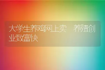 大学生养鸡网上卖 养殖创业致富快