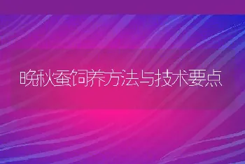 晚秋蚕饲养方法与技术要点