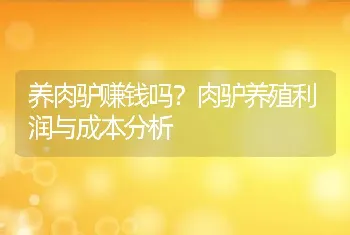 养肉驴赚钱吗？肉驴养殖利润与成本分析