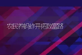 农民养蚂蚱开拓致富路