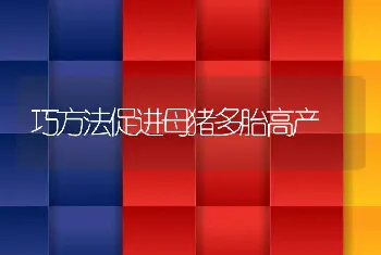 池塘养殖刺参技术