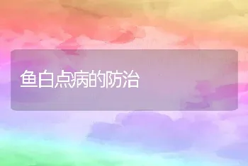 鱼白点病的防治