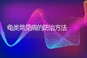 龟类常见病的防治方法