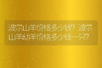 波尔山羊价格多少钱？波尔山羊幼羊价格多少钱一只？