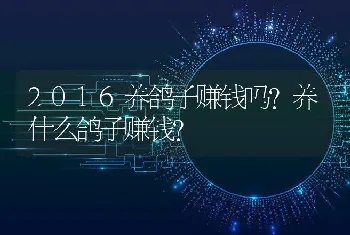 2016养鸽子赚钱吗？养什么鸽子赚钱？