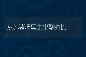 从养猪场里走出副镇长