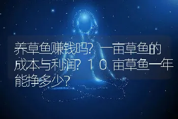 养草鱼赚钱吗?一亩草鱼的成本与利润?10亩草鱼一年能挣多少？