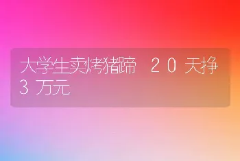 大学生卖烤猪蹄 20天挣3万元