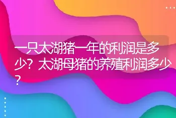 一只太湖猪一年的利润是多少？太湖母猪的养殖利润多少？