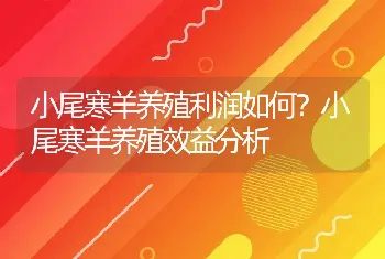 小尾寒羊养殖利润如何？小尾寒羊养殖效益分析