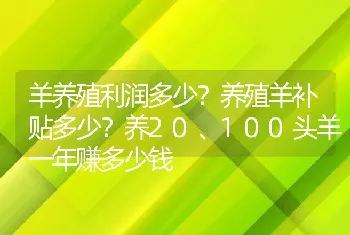 羊养殖利润多少？养殖羊补贴多少？养20、100头羊一年赚多少钱