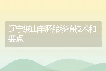 辽宁绒山羊胚胎移植技术和要点