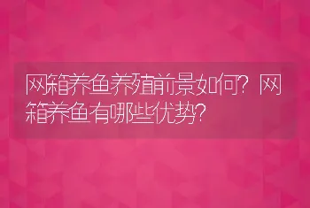 网箱养鱼养殖前景如何？网箱养鱼有哪些优势？