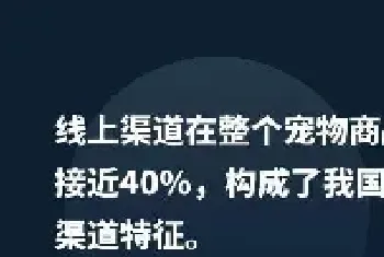 开宠物店暴利？全案解析中美连锁化可能性,揭秘宠物经济低收入真相