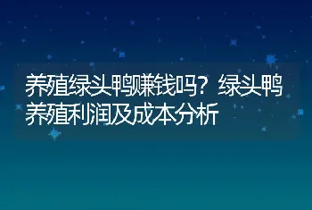 养殖绿头鸭赚钱吗？绿头鸭养殖利润及成本分析