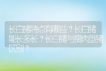 长白猪特点有哪些？长白猪能长多长？长白猪与瘦肉型猪区别？