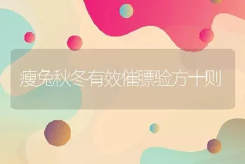 观赏鱼的水温要求