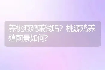 养桃源鸡赚钱吗？桃源鸡养殖前景如何?