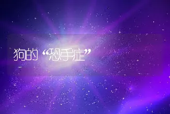 狗的“恐手症”