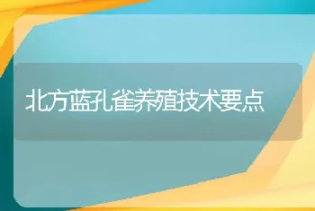 北方蓝孔雀养殖技术要点