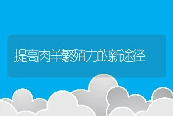 提高肉羊繁殖力的新途径