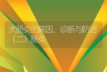 犬肠炎的病因、诊断与防治（二）肠炎