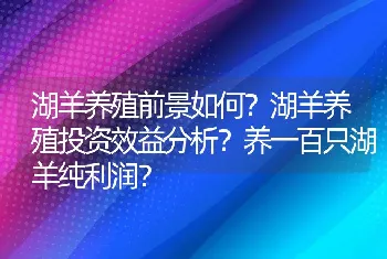 湖羊养殖前景如何？湖羊养殖投资效益分析？养一百只湖羊纯利润？