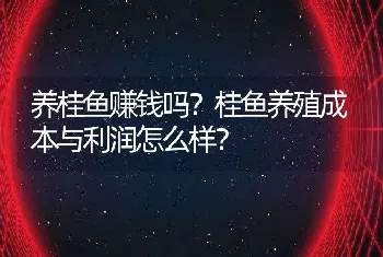 养桂鱼赚钱吗？桂鱼养殖成本与利润怎么样？