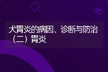 犬胃炎的病因、诊断与防治（二）胃炎