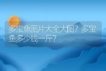 多宝鱼图片大全大图？多宝鱼多少钱一斤？