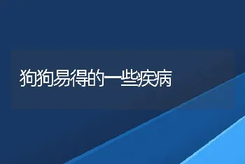 狗狗易得的一些疾病