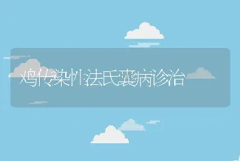 高产精养鱼池混养湘云鲫、湘云鲤技术模式