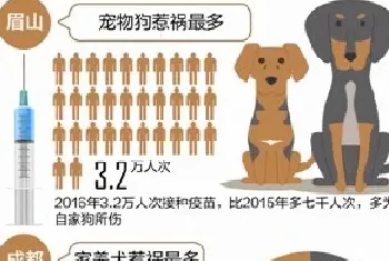 四川狂犬病死亡率100% 宠物狗引发狂犬病比例最高