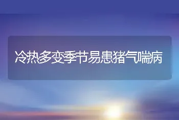 冷热多变季节易患猪气喘病