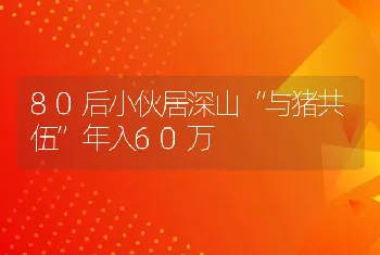 80后小伙居深山“与猪共伍”年入60万