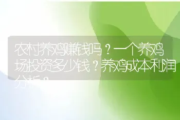 农村养鸡赚钱吗？一个养鸡场投资多少钱？养鸡成本利润分析？