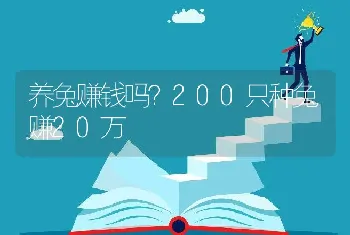 养兔赚钱吗？200只种兔赚20万