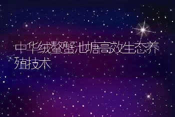 中华绒螯蟹池塘高效生态养殖技术