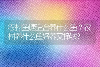 农村鱼塘适合养什么鱼？农村养什么鱼好养又挣钱?