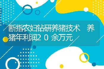 断指农妇钻研养猪技术 养猪年利润20余万元