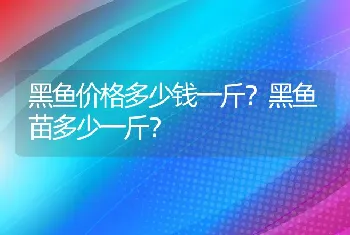 黑鱼价格多少钱一斤？黑鱼苗多少一斤？