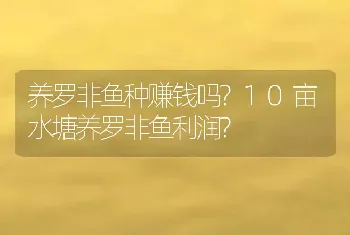 养罗非鱼种赚钱吗?10亩水塘养罗非鱼利润?