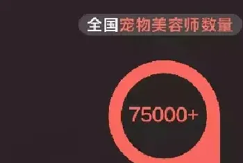 月薪3k不服月薪1W+？ 宠业美容江湖救急令