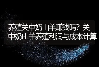 养殖关中奶山羊赚钱吗？关中奶山羊养殖利润与成本计算