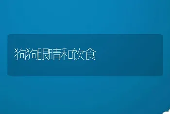 狗狗眼睛和饮食