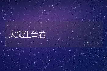 火腿生鱼卷