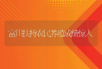 富川扶持农民养殖成绩惊人