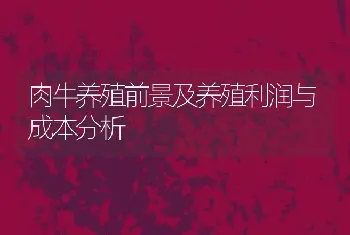 肉牛养殖前景及养殖利润与成本分析