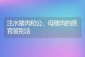 注水猪肉和公、母猪肉的感官鉴别法